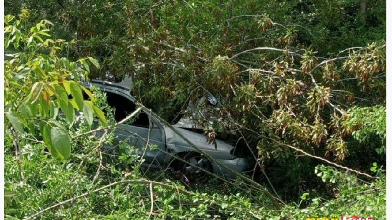Zonguldak'ta otomobil uçurumdan düştü