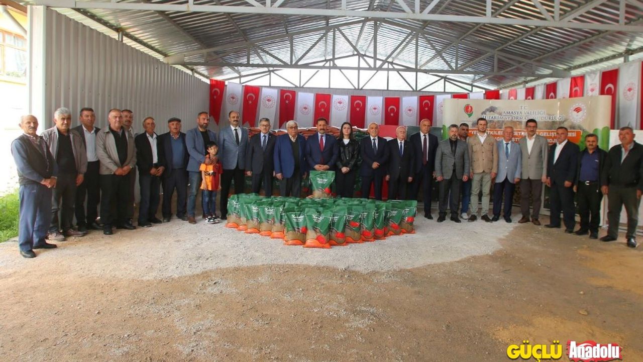 Amasya'daki çiftçilere 55 bin kilo yem bitkisi tohumu desteği