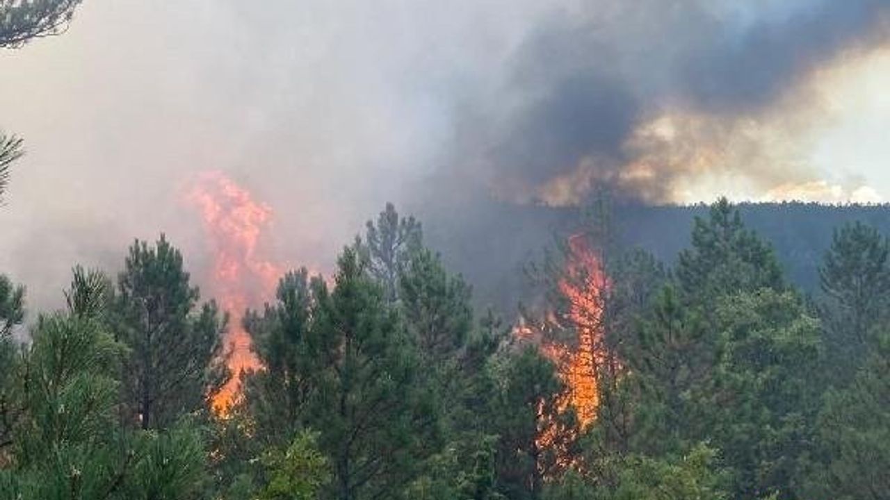 Eskişehir’de orman yangınına sabah saatlerinde yeniden müdahale başladı