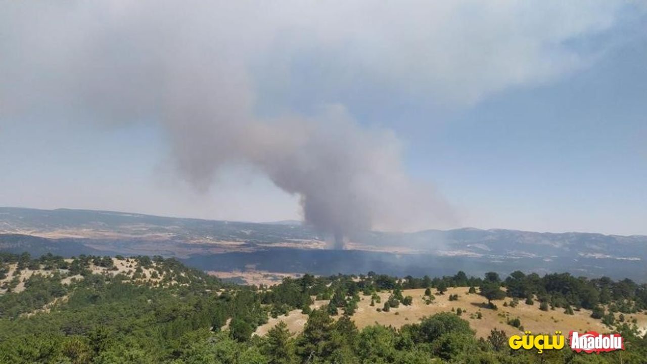 Eskişehir'de ormana sıçrayan anız yangını yerleşim yerlerine doğru ilerliyor