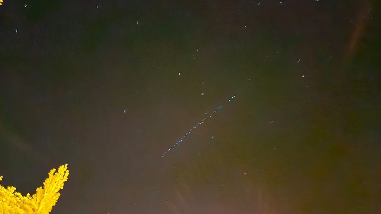 Starlink uyduları Çukurca semalarında görüntülendi
