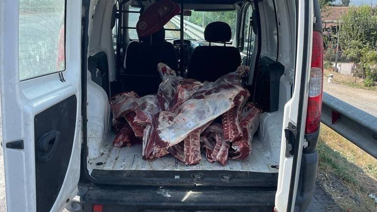 Aydın'da, sağlıksız şartlarda taşınan 300 kilo et yakalandı