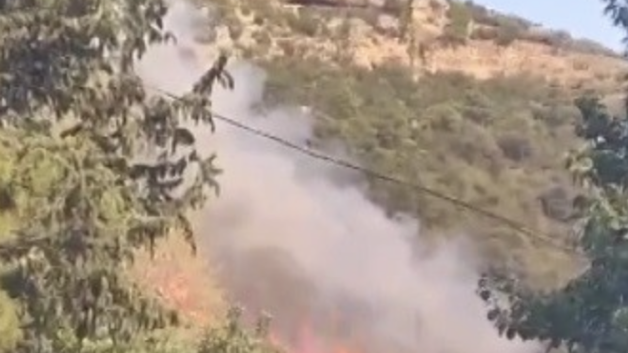 Mersin'de orman yangını çıktı!
