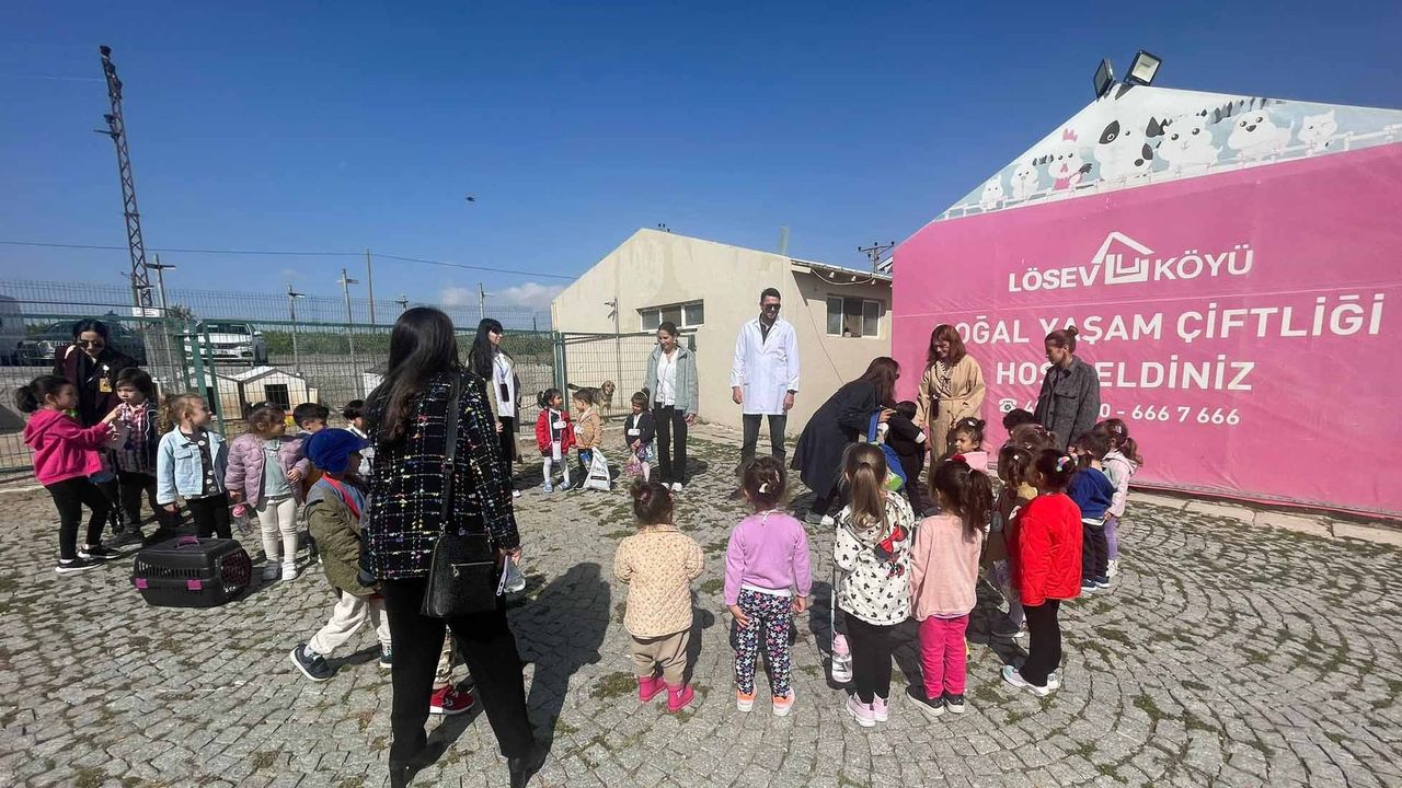 Yenimahalle Belediyesi, LÖSEV'in patili dostlarına aşı yardımında bulundu