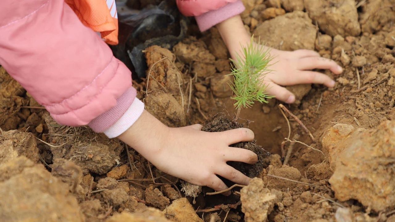 Kirişçi: Ağaçlandırma çalışmalarında Avrupa’da birinci dünyada dördüncüyüz