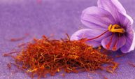 Gramı 500 TL olan safranın hasadı başladı!