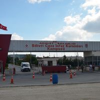 Siyaset