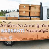 Ankara