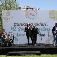 Çankaya