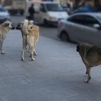 Gündem