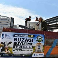 Ankara