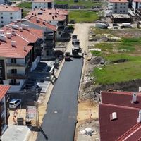 Siyaset