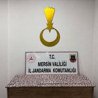 Asayiş
