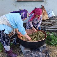 Yaşam-Çevre