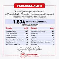 Siyaset