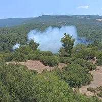 Yaşam-Çevre