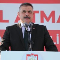 Siyaset