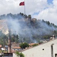 Asayiş