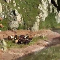 Yaşam-Çevre