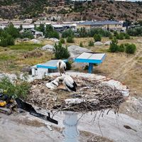 Kızılcahamam