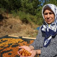 Yaşam-Çevre