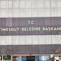 Siyaset