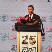 Siyaset