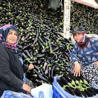 Yaşam-Çevre