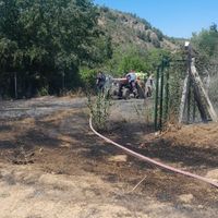 Asayiş