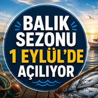 Yaşam-Çevre