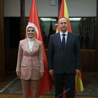 Siyaset