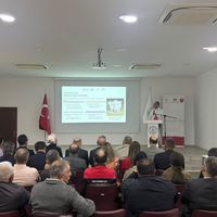 Ankara