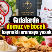 Yaşam-Çevre