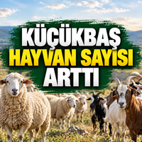 Yaşam-Çevre