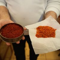 Yaşam-Çevre