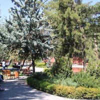Ankara