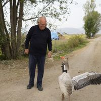 Yaşam-Çevre