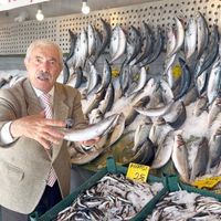 Gündem