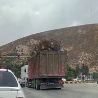 Asayiş