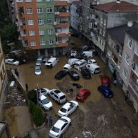 Asayiş