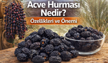 Acve Hurması Nedir? Özellikleri ve Önemi