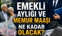 Emekli aylığı ve memur maaşı ne kadar olacak?