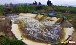 Büyük Menderes Nehri, çok kötü durumda!