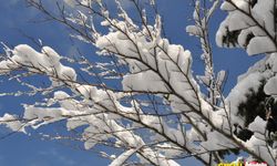 Kar yağışı nedeniyle bazı il ve ilçelerde okullar tatil edildi