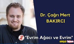 Evrim Ağacı nedir? Evrim Ağacı kimin?