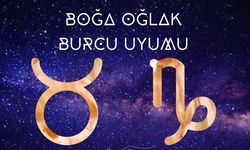 Boğa burcu kadını, oğlak burcu erkeği arasındaki uyum ne? Boğa kadını, oğlak erkeği anlaşır mı?