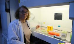 Büyük gelişme: Hastalar antibiyotik kullanılmadan tedavi olabilecek