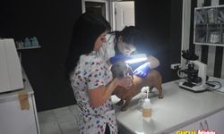 Uyuz nedir? Uyuz nasıl bulaşır? Uyuz hayvanlardan mı geçer?