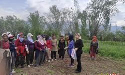 Uzmanlar uyarıyor: Doğada bulunurken kene popülâsyonuna dikkat!