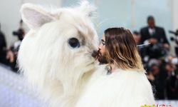Met Gala'nın en şıkları ve en rüküşleri! Birbirinden ünlü isimler, pişti olanlar, sıra dışı tasarımlar…
